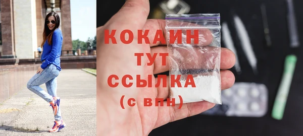 PSILOCYBIN Вязники