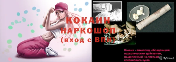 PSILOCYBIN Вяземский