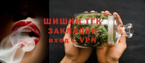 PSILOCYBIN Вяземский