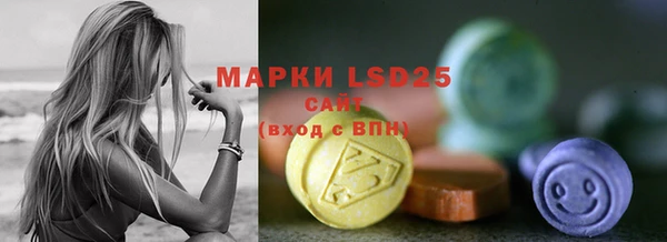 прущие грибы Струнино