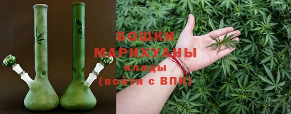 PSILOCYBIN Вязники