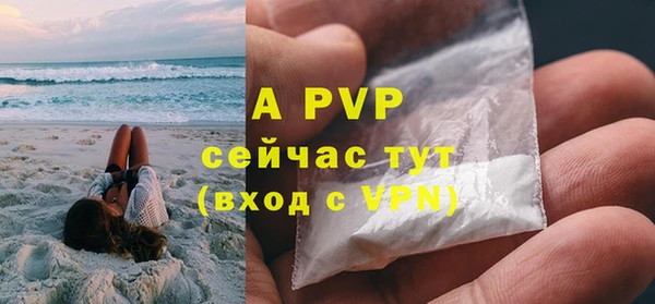 PSILOCYBIN Вязники