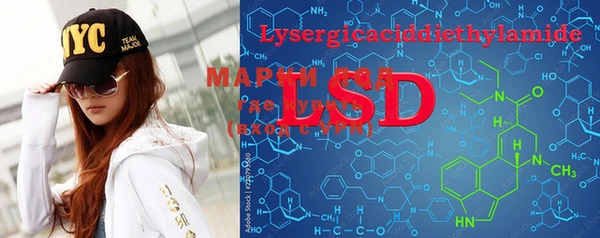 PSILOCYBIN Вязники