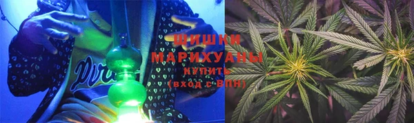 PSILOCYBIN Вяземский