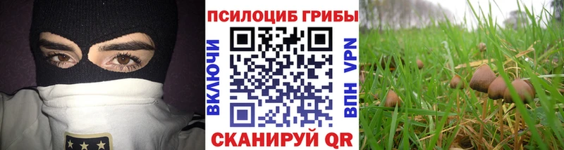 Псилоцибиновые грибы Cubensis Купить где Слободской
